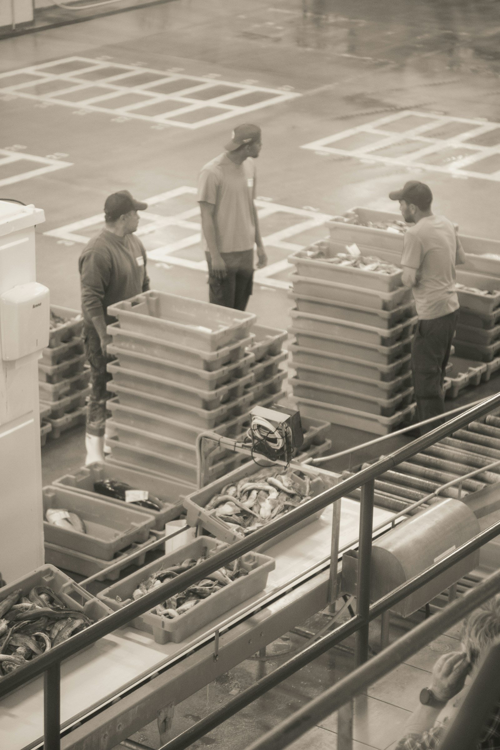 Travailleurs en transformation alimentaire